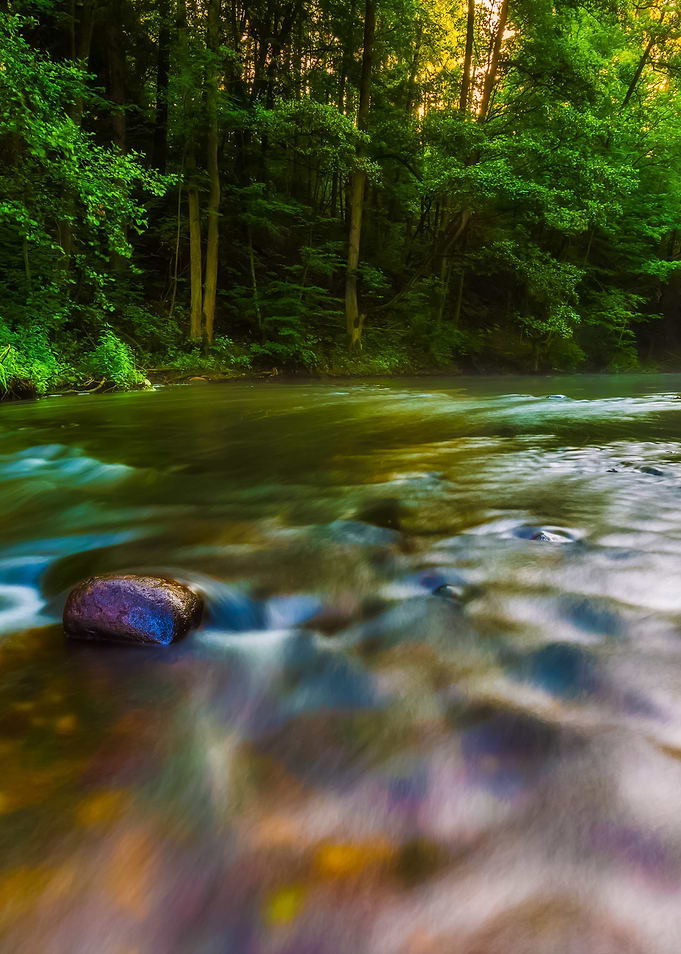 Beautiful Landscape With S