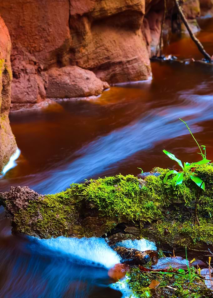 Small River Scene Among Ro