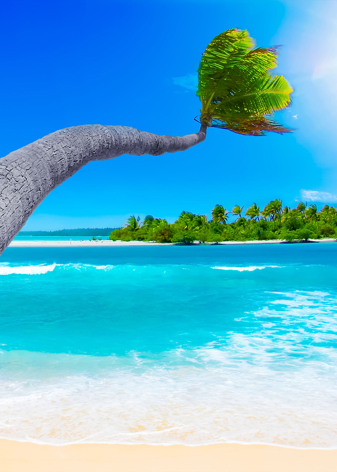 Tropical Paradise