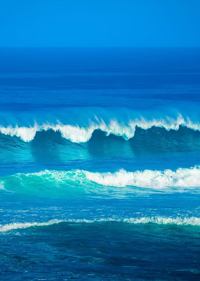 SurfS Up