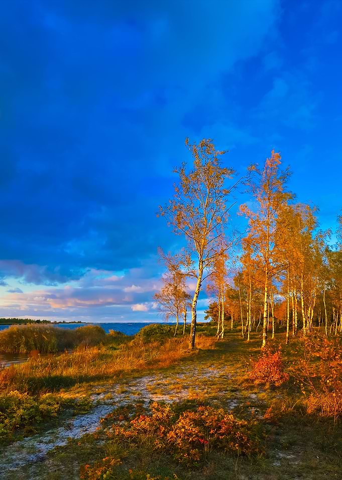 Autumn Landscape