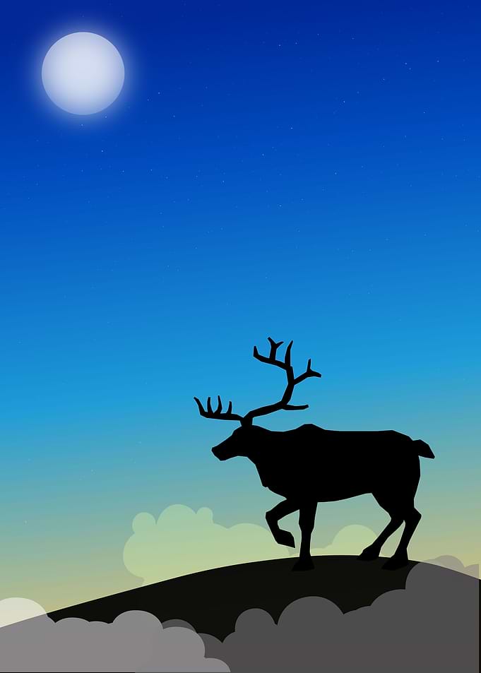 Deer in the morning