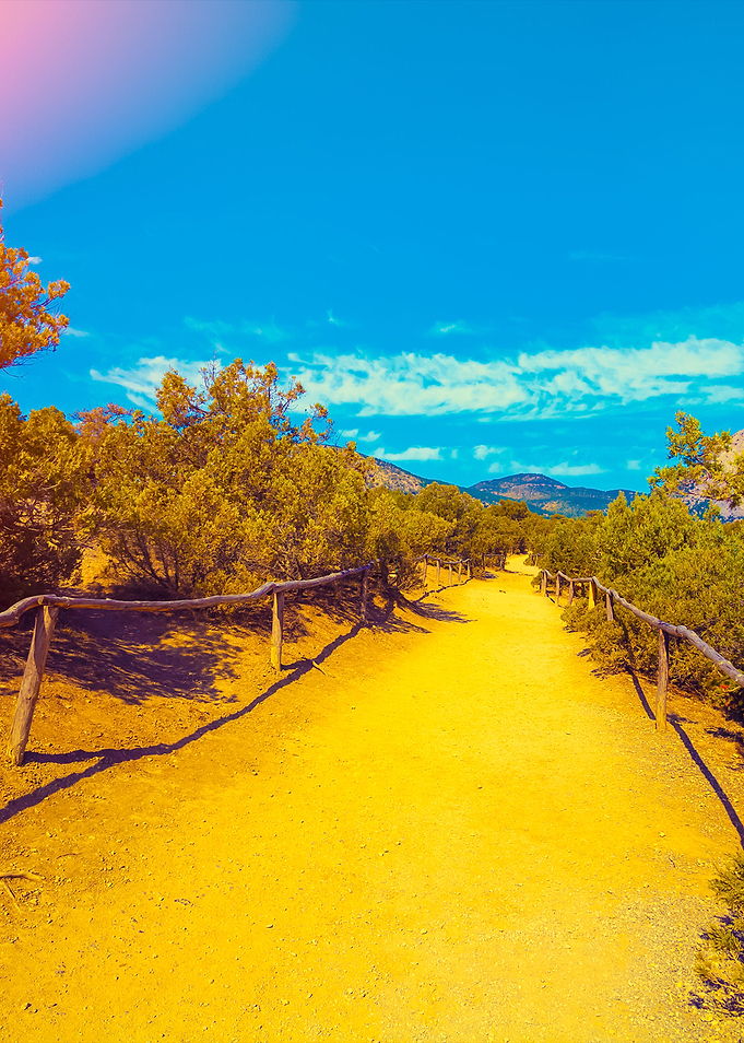 Dirt Road In The Park