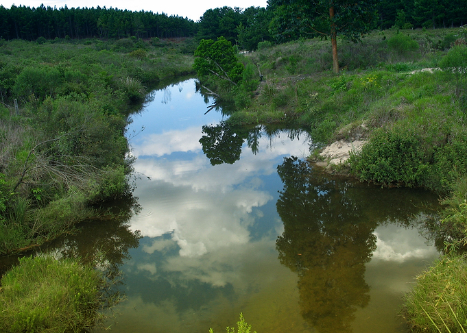 Water Reflection