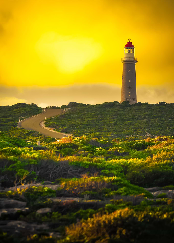 Golden View