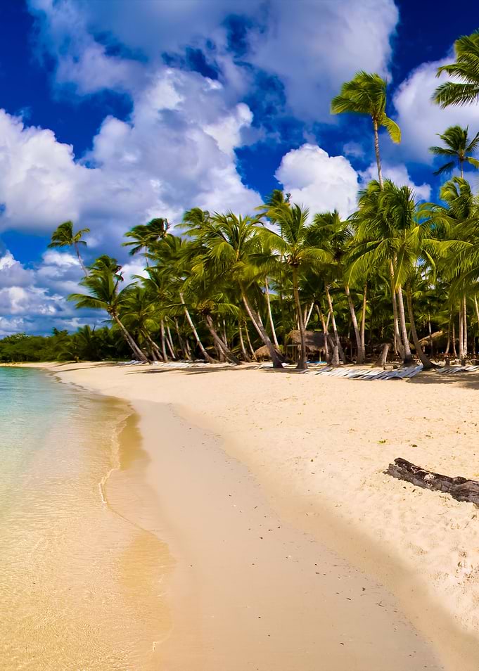 Stunning Backgrounds