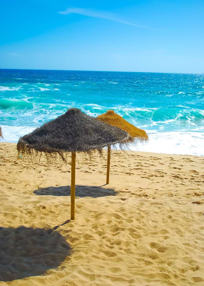 Beach Scene With Coconuts