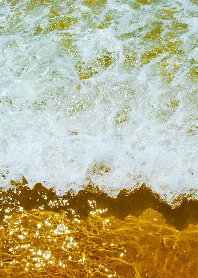 Sparkling Ocean Scene Back
