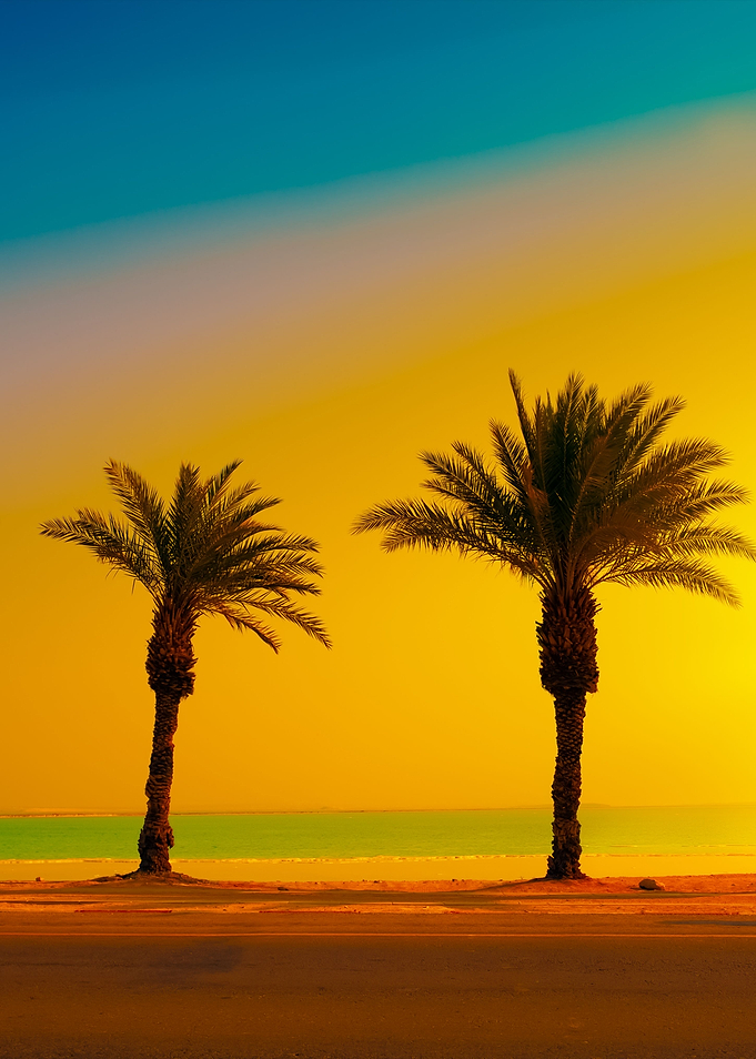 Palm Trees At Sunset
