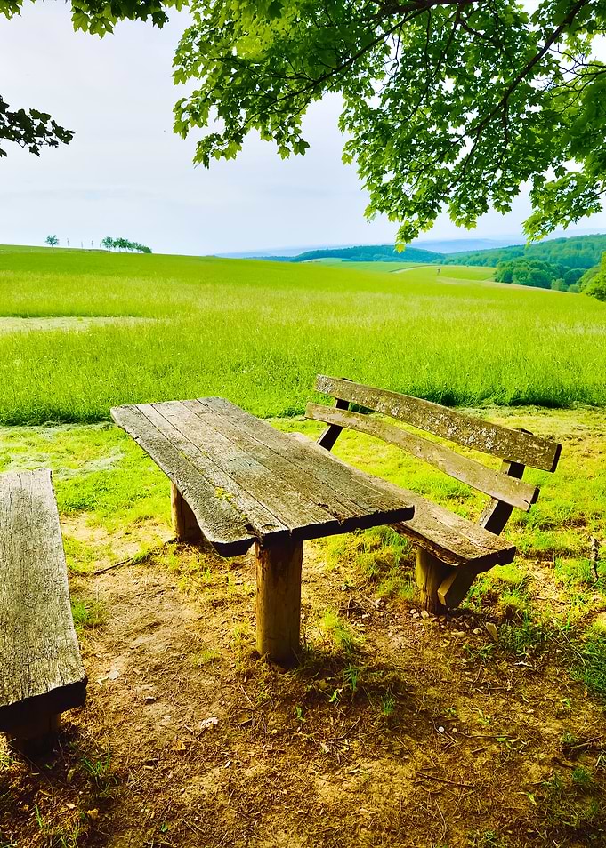 Resting And Dinner Place I