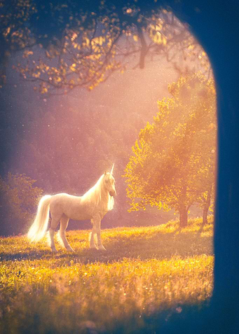 magical encounters