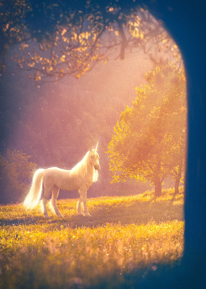 magical encounters