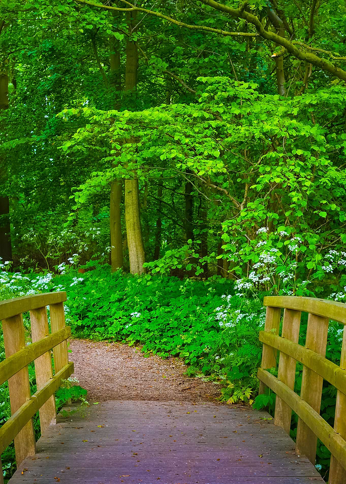 Walkway In Stochemhoeve Fo