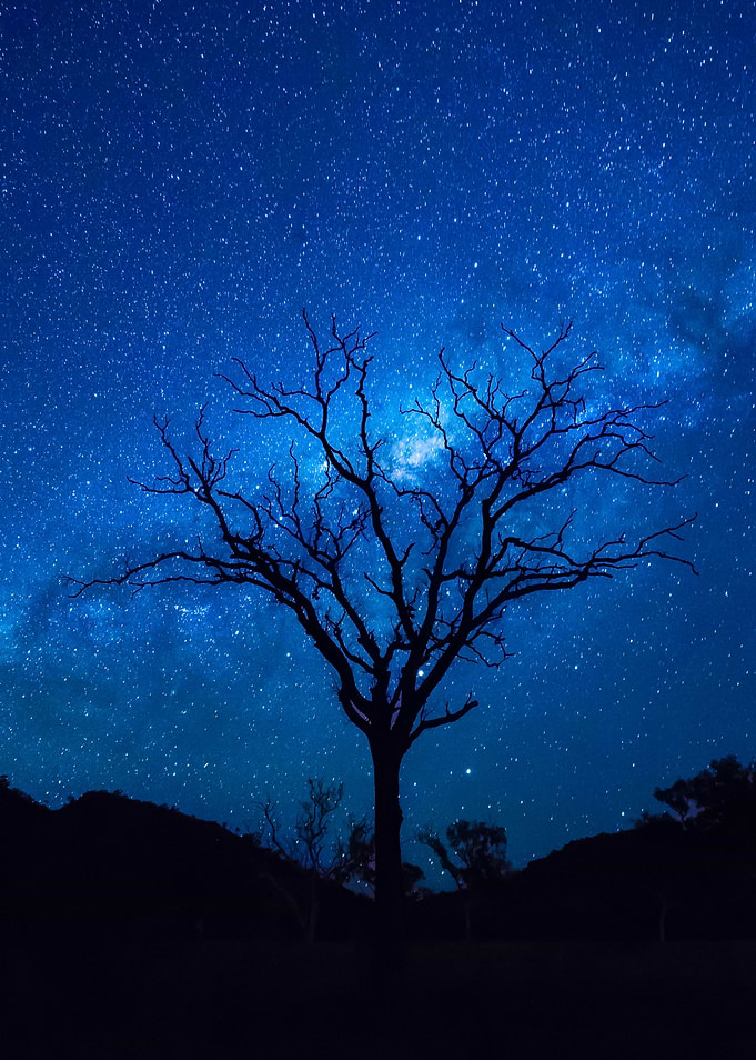 Night Sky
