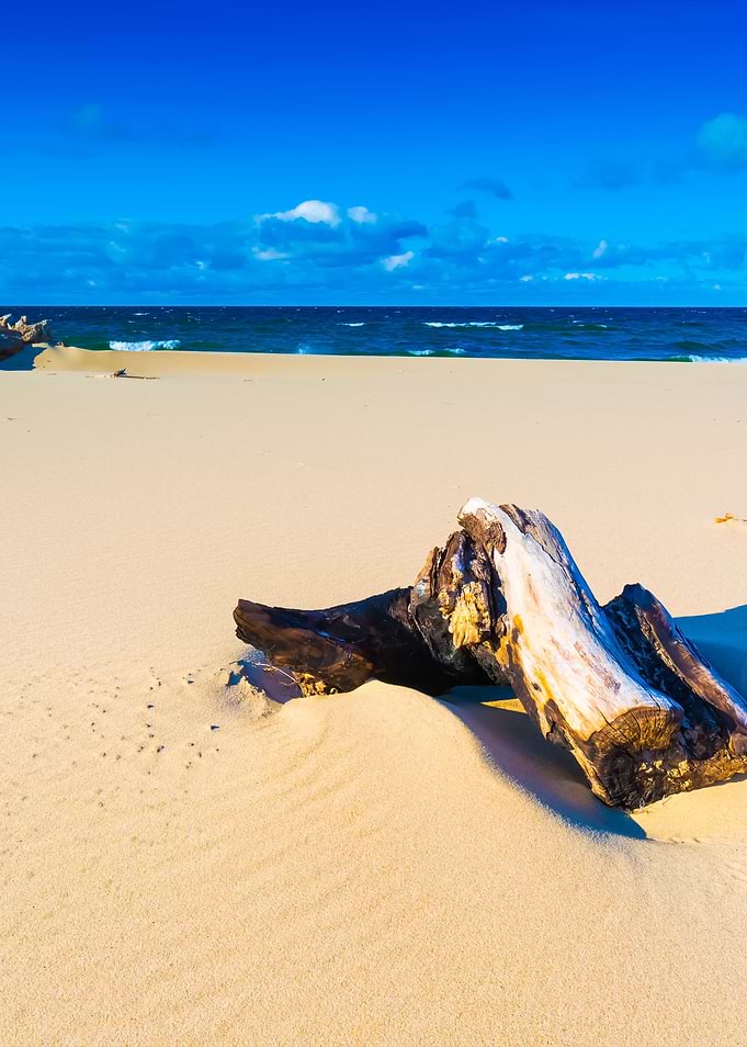Beautiful Sandy Sea Shore