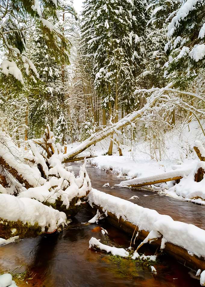 Winter River Valley Landsc