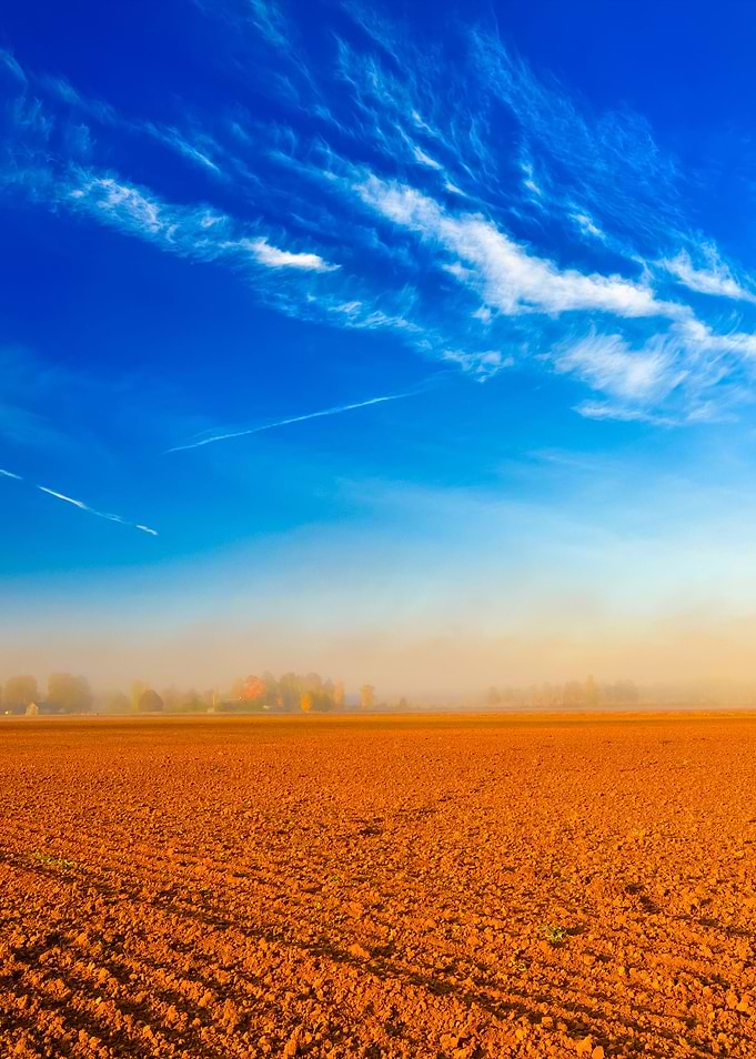 Orange Soil Field Against
