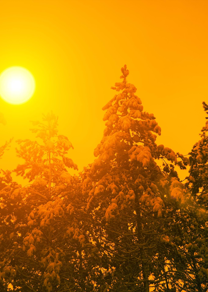 The Sun Over The Winter Pi