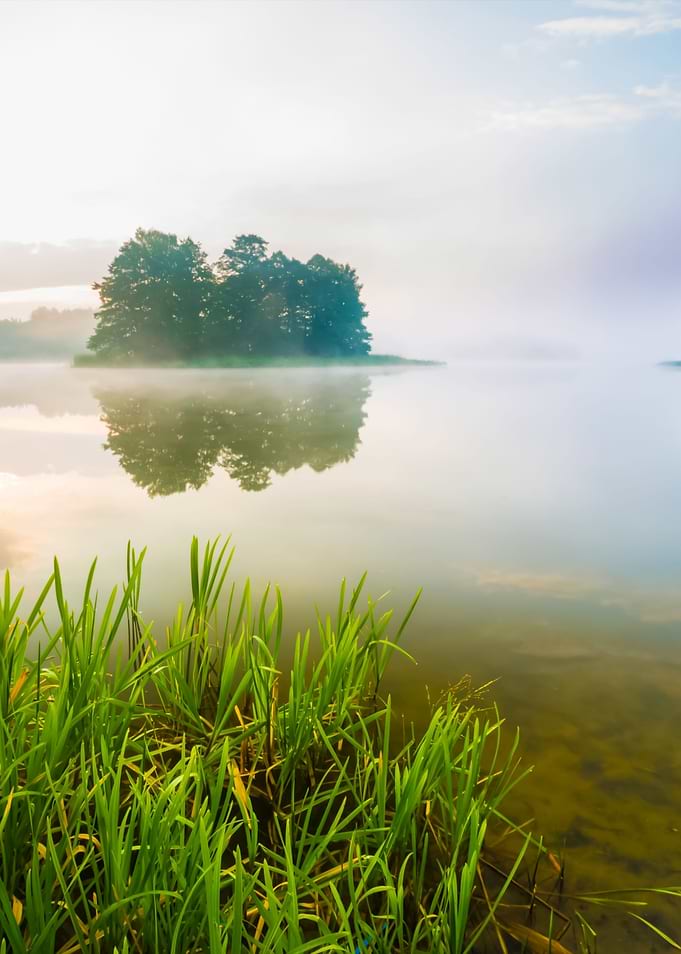 Morning Foggy Lake