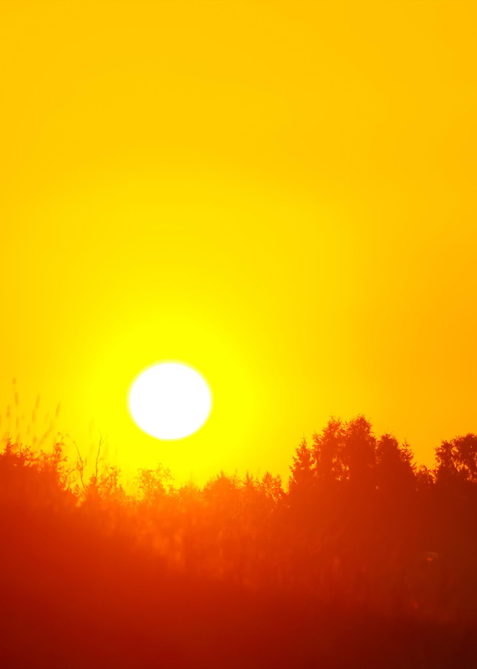 Early Orange Clear Sunrise