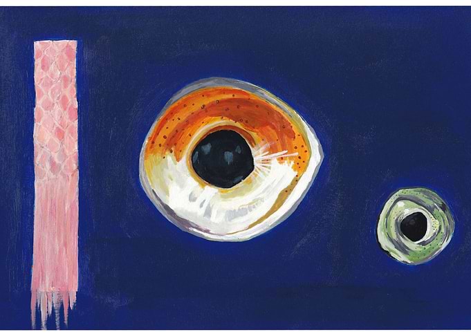 Tapetum Lucidum