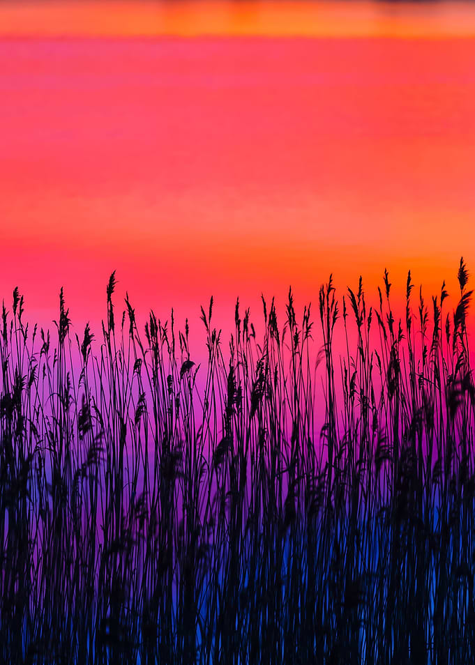 Beautiful Lake With Colorf