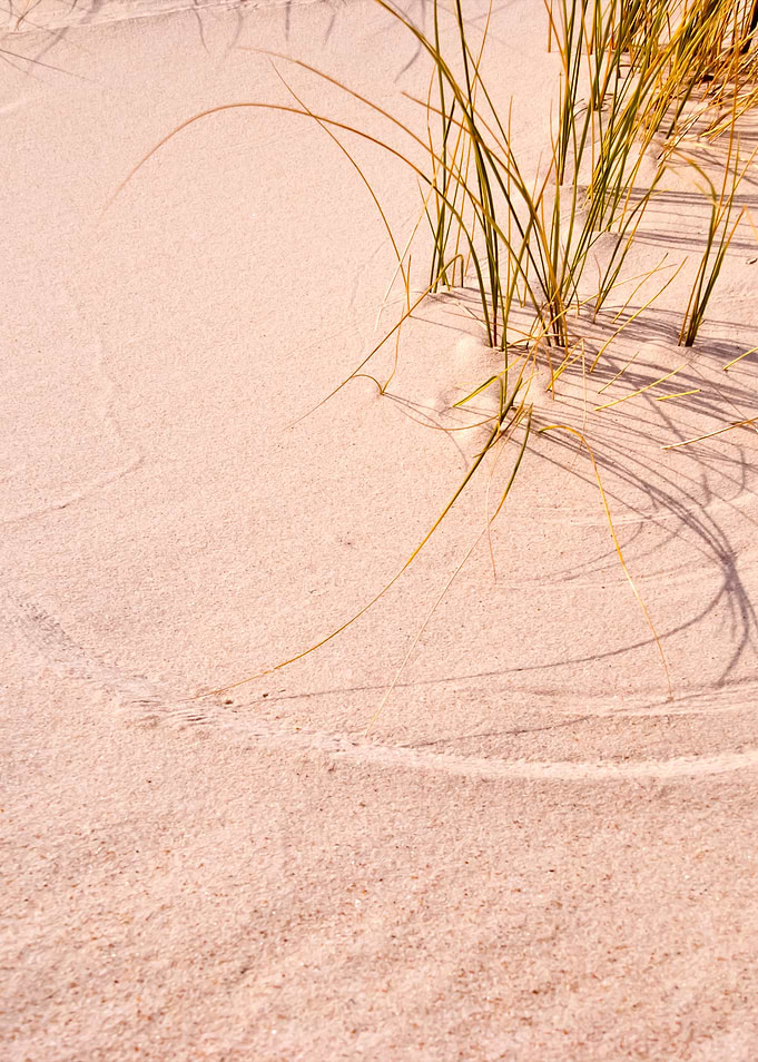 Dune
