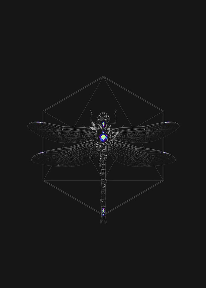 Lucky Dragonfly