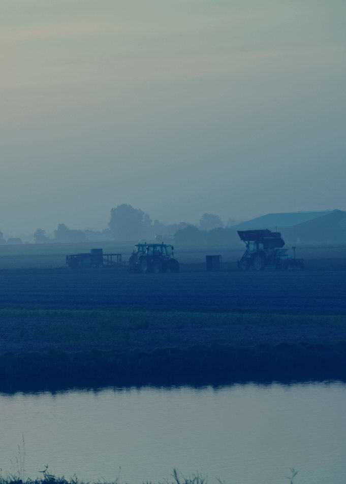 Landscape 8