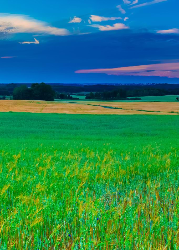 Sunset Over Cereal Field W
