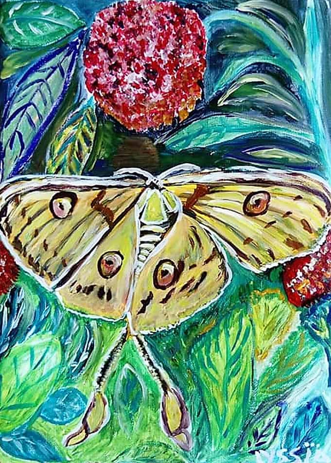 Butterfly N pink flower