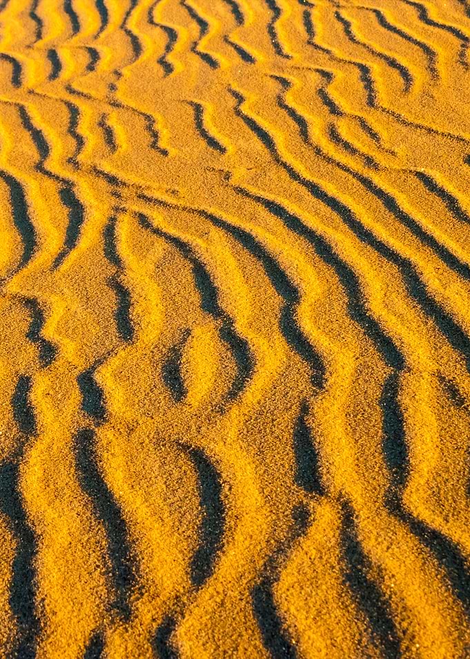 Dunes At Sunrise Landscape
