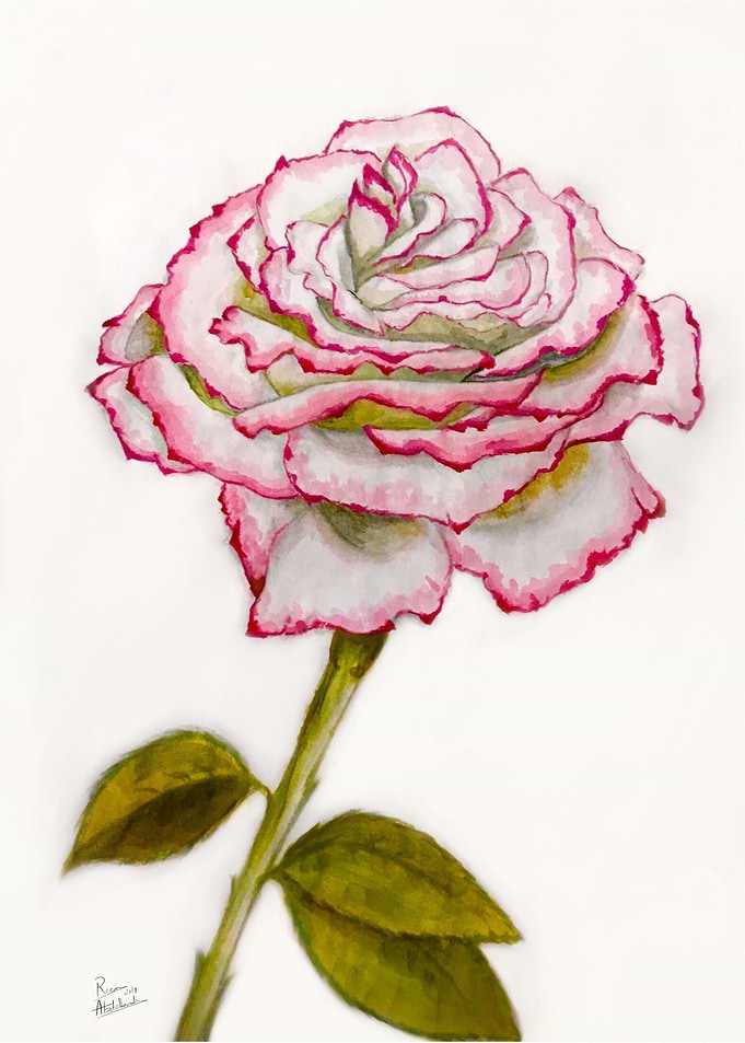 Botanical