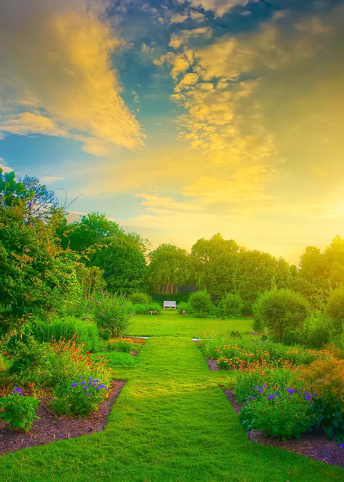 Garden Sunset