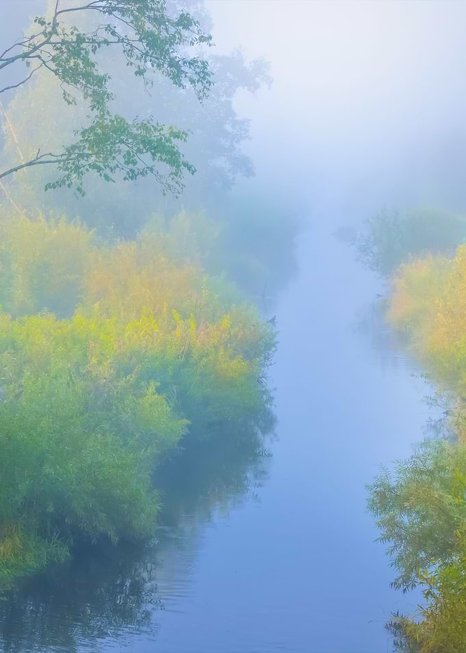 Mornig River And A Forest