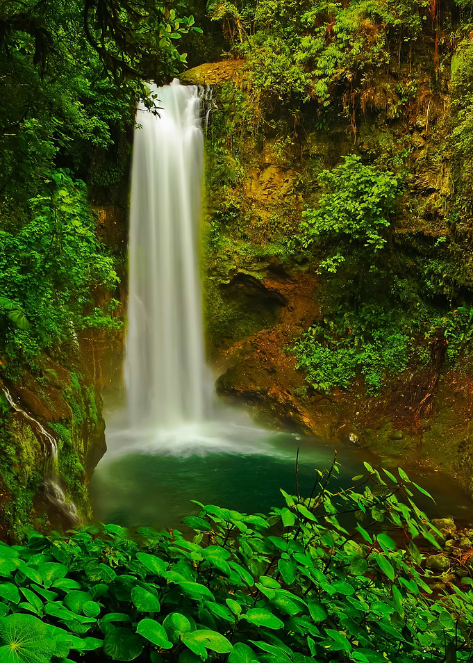 La Paz Waterfall Gardens W