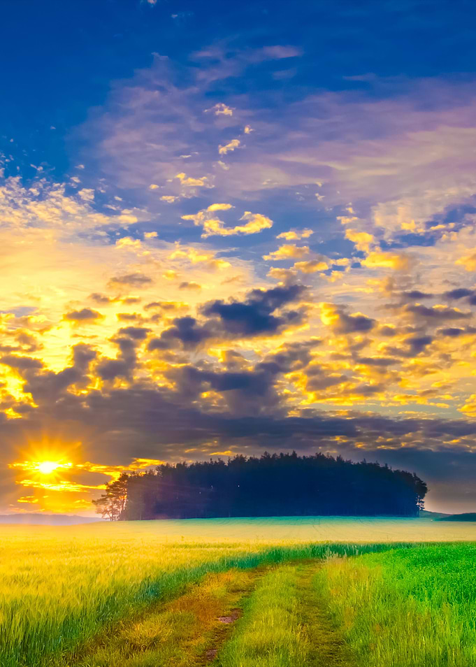 Sunset Over Cereal Field I