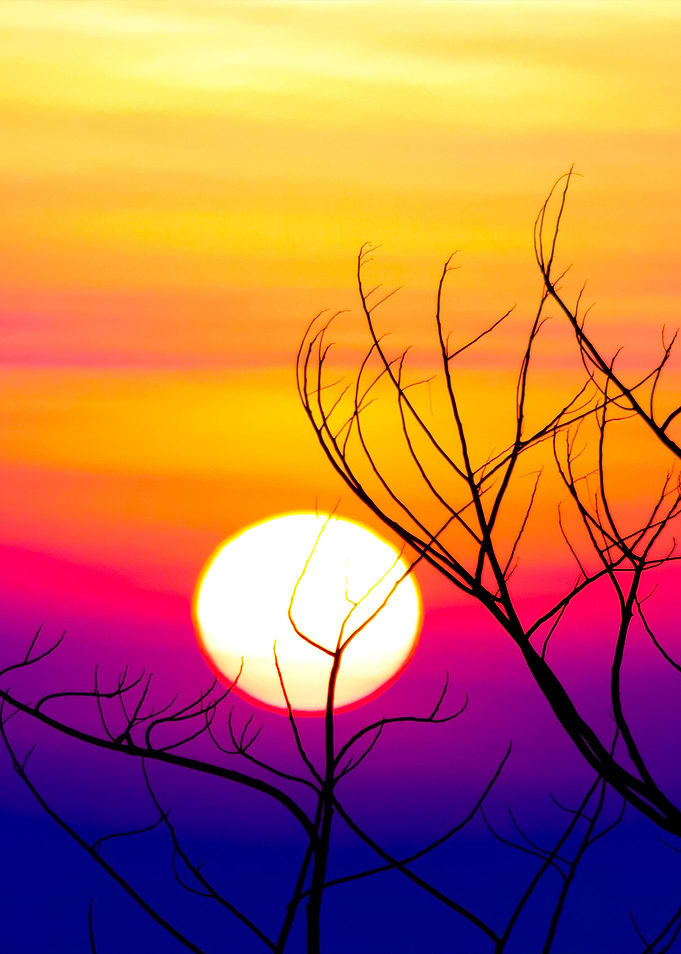 Sunrise Scene
