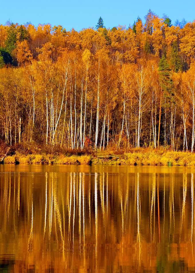Autumn River Landscape Wit