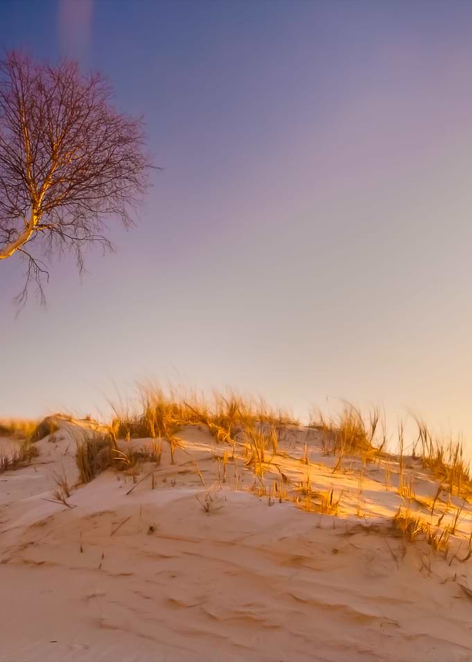 Dunes At Sunrise Landscape