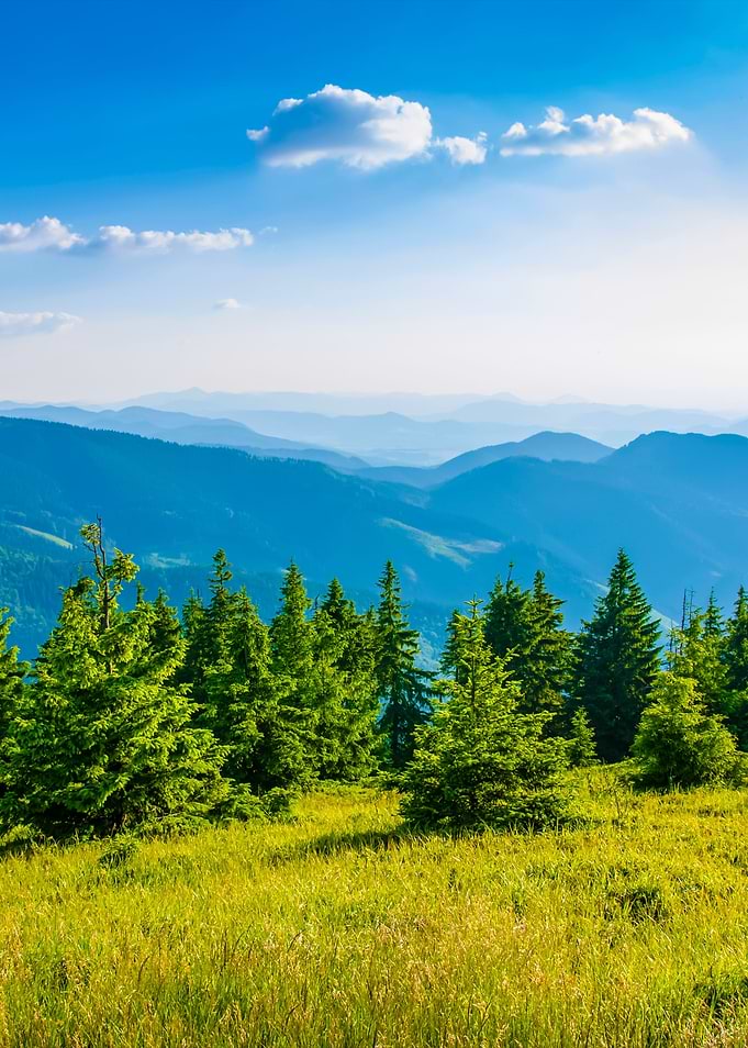 Slovakian Mountains In Sum