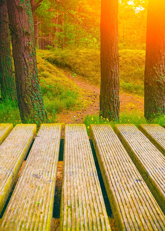Wooden Walkway In The Fore