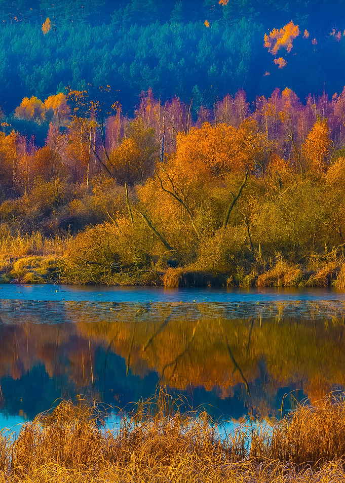 Morning Lake At Autumn