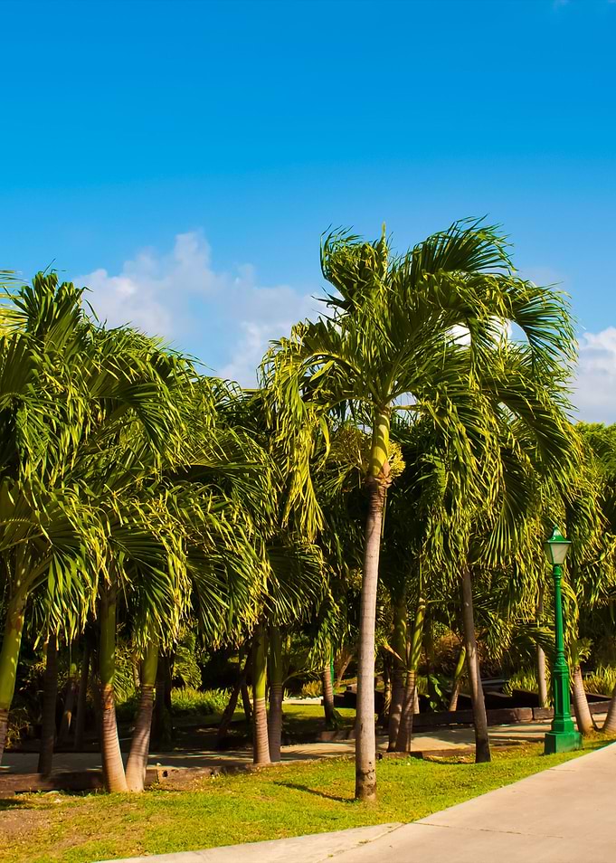 Resort Pathway
