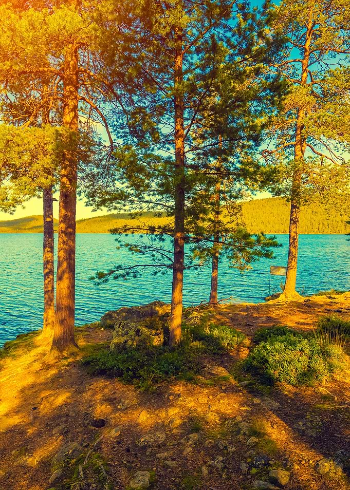 Lake Shore In Sunny Day Pi