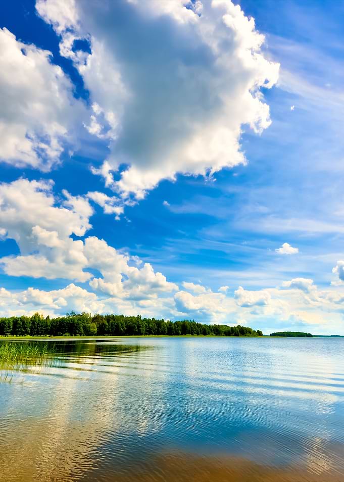 Lake In The Forest With Re