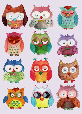 Little Owls