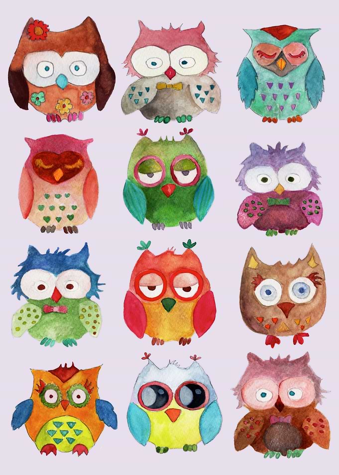 Little Owls