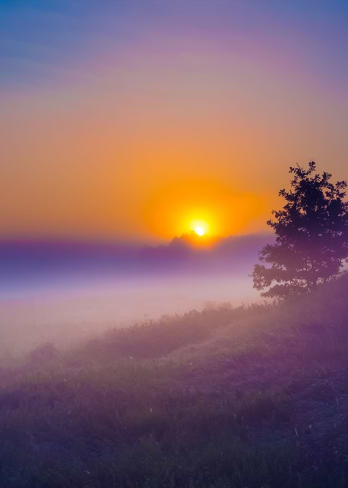Foggy Morning On Polish Me