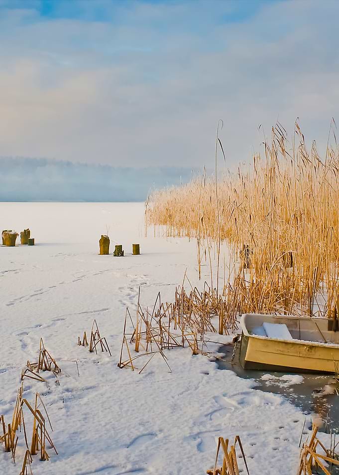 Winter Lake